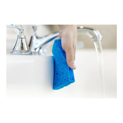 Scotch-Brite ocelo Multi-Purpose Utility Sponge, 2 Count
