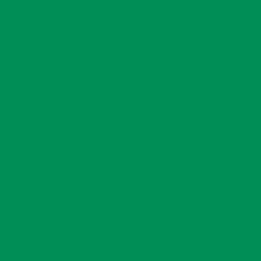 Green disposable table cover styled for a holiday or party setup