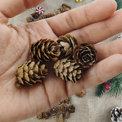 Pine cones attached to a holiday wreath
