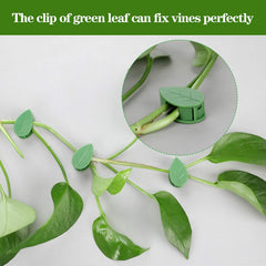 Close-up of leaf-shaped clip design blending into foliage