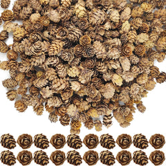 160-piece bulk mini natural pine cones