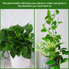Adhesive sticker backing for plant wall clip installation