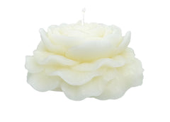 Unscented Rose Candle layered petal design Cotton Wick 2.4 in